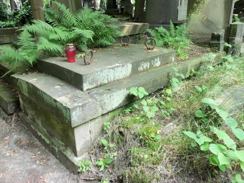 Zdjęcie grobu Janiszewscy (1)