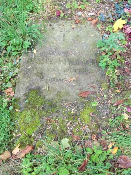 Zdjęcie grobu Ludwik Nałęcz-Ostrowski (1)
