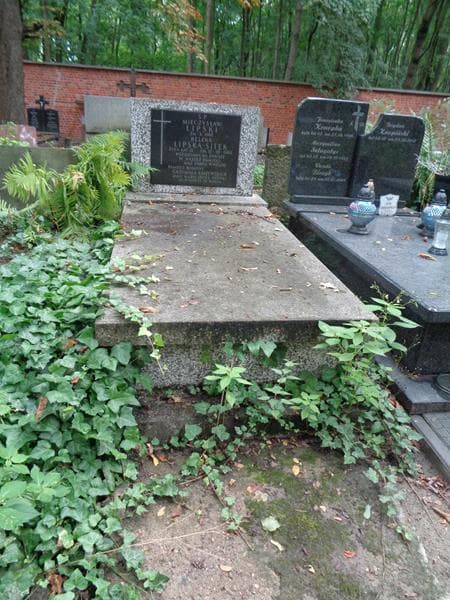 Zdjęcie grobu Helena Lipska-Sitek (1)