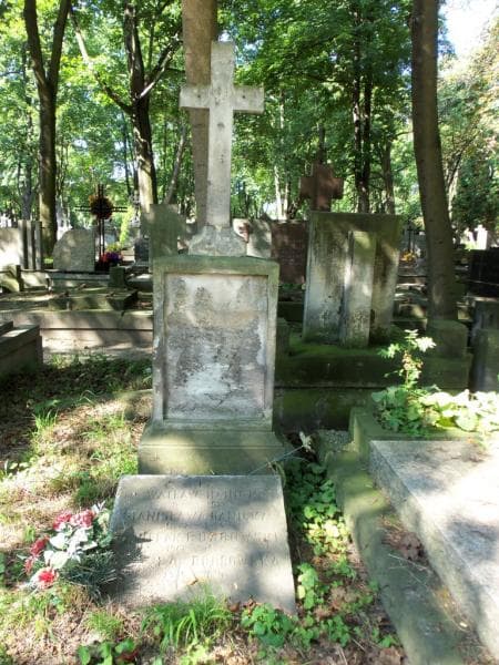 Zdjęcie grobu Wacław Hanicki (1)
