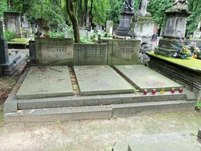 Zdjęcie grobu: Henryk Uliński