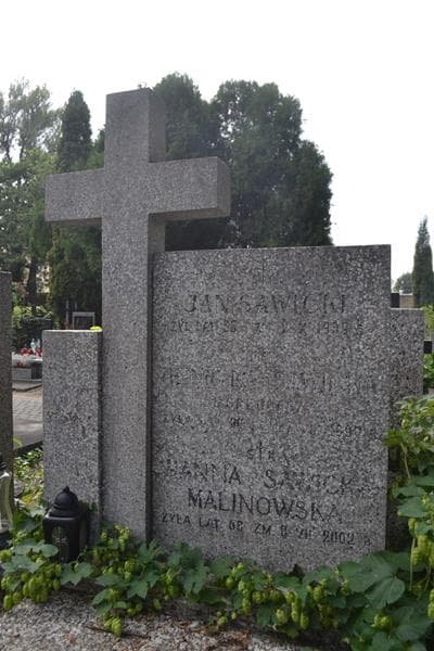 Zdjęcie grobu Jan Sawicki (2)