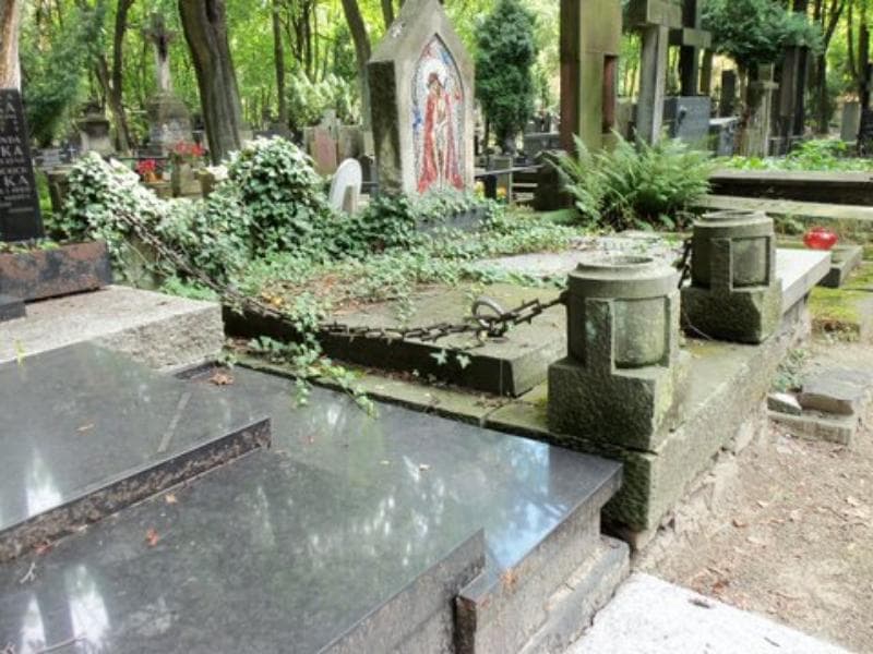 Zdjęcie grobu Anna Wanda Vinel (1)