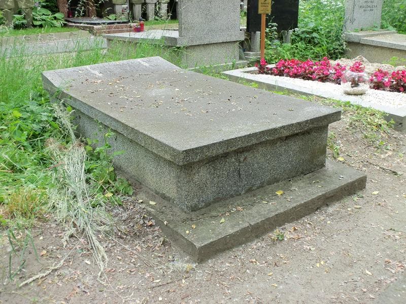 Zdjęcie grobu Henryk Walczak (1)