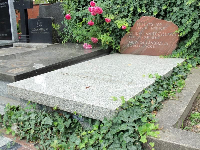 Zdjęcie grobu Mieczysław Niedzielski (1)
