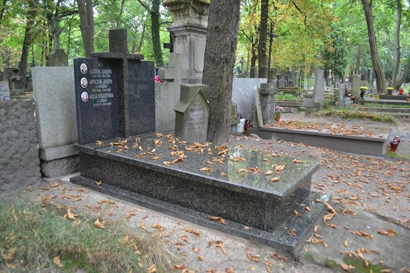 Zdjęcie grobu: Apolonia Zasępa