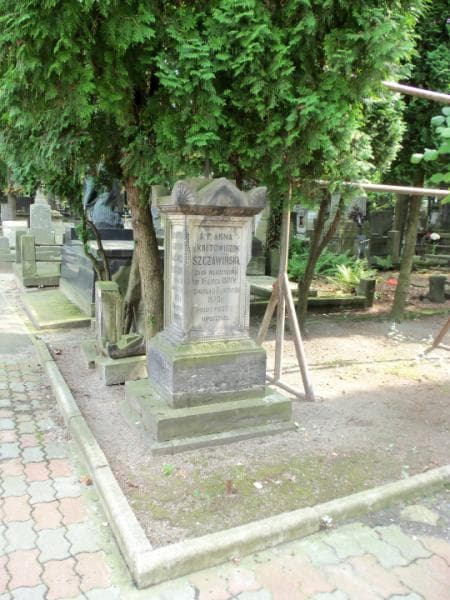 Zdjęcie grobu Anna Leszczyńska (2)