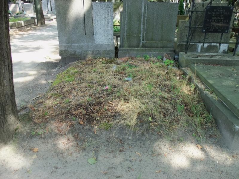 Zdjęcie grobu: Pole Grobowe