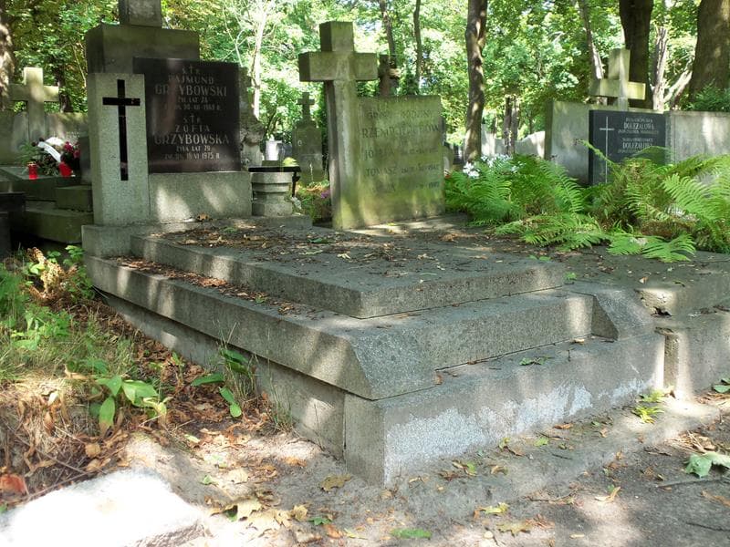 Zdjęcie grobu Rajmund Grzybowski (1)