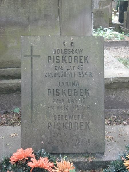 Zdjęcie grobu Janina Piskorek (1)