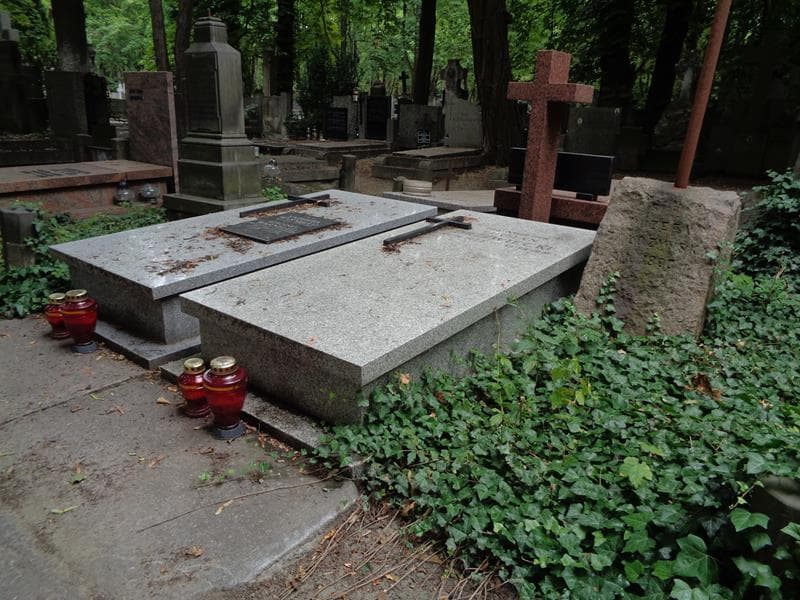 Zdjęcie grobu: Lucjan Drzewiecki