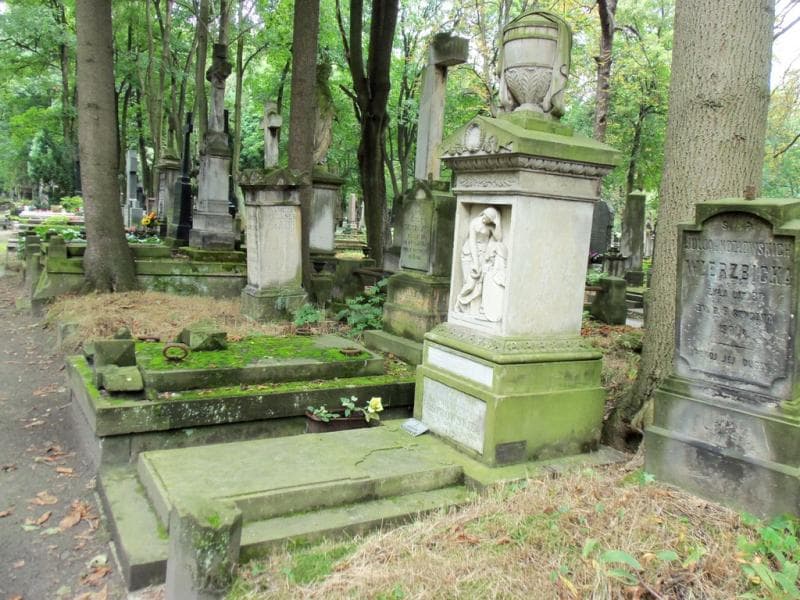 Zdjęcie grobu Julja Ostrowska (1)