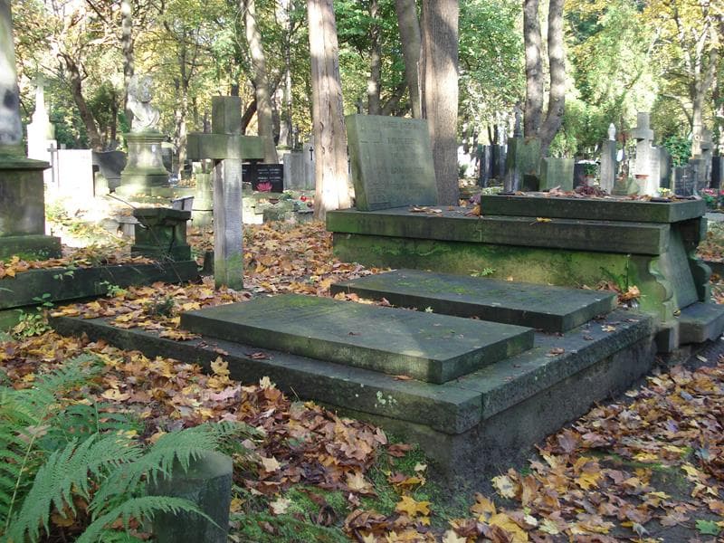 Zdjęcie grobu Jadwiga Cholewicka (1)