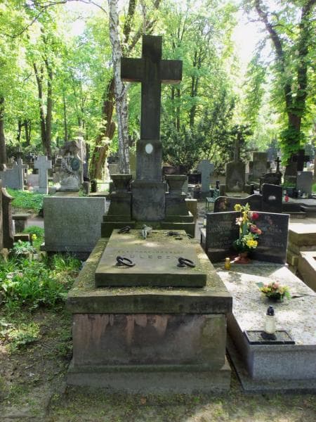 Zdjęcie grobu: Eleonora Rozalja Kulesza