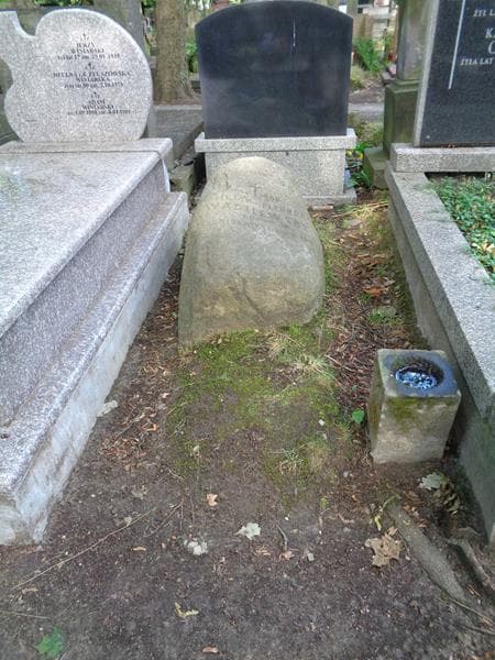 Zdjęcie grobu Bronisława Wasilewska (1)