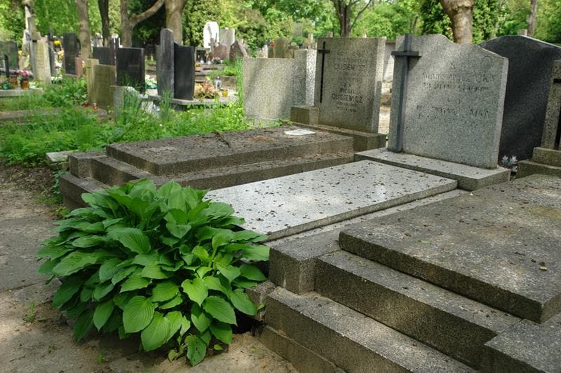 Zdjęcie grobu Florentyna Czajka (1)