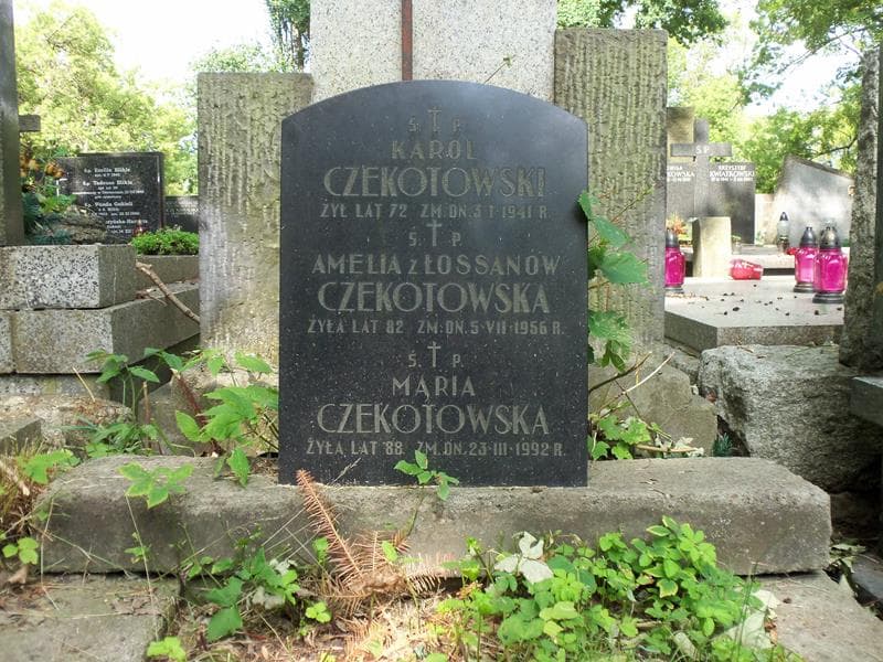 Zdjęcie grobu Karol Czekotowski (2)