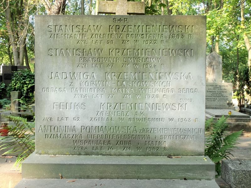 Zdjęcie grobu Jadwiga Krzemieniewska (2)