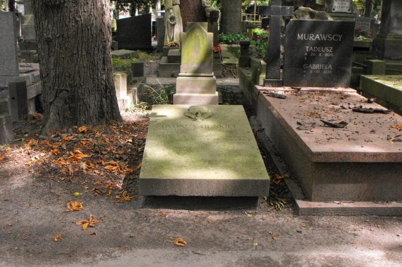 Zdjęcie grobu: Dyonizy Henkiel
