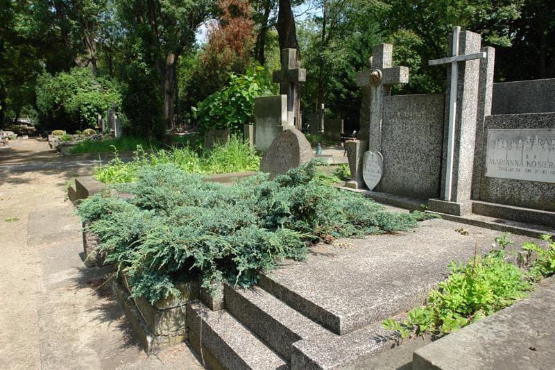 Zdjęcie grobu: Helena Janaszkiewicz