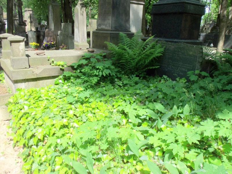 Zdjęcie grobu Maria Jeniczowa (1)