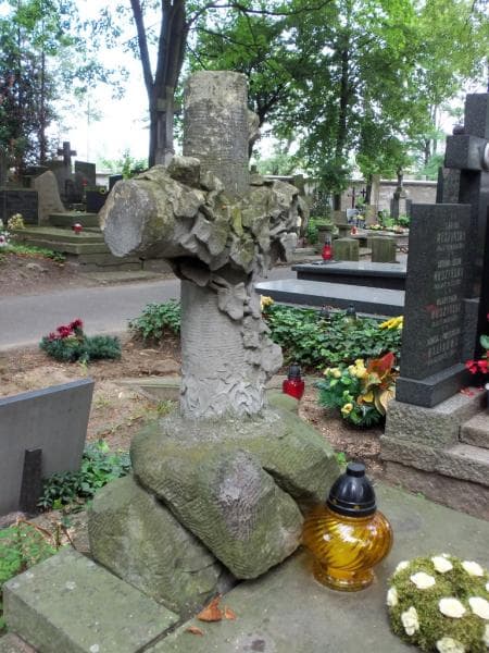 Zdjęcie grobu Teofil Hemering (2)