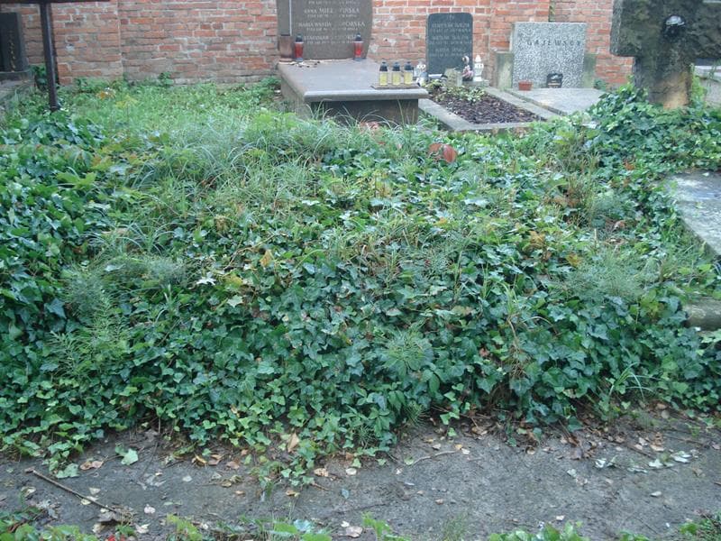 Zdjęcie grobu: Pole Grobowe