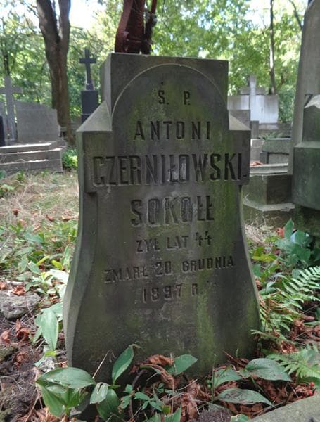 Zdjęcie grobu Antoni Czerniłowski-Sokołł (2)