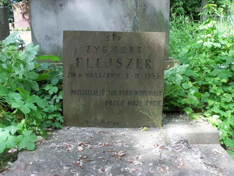 Zdjęcie grobu Zygmunt Flejszer (2)