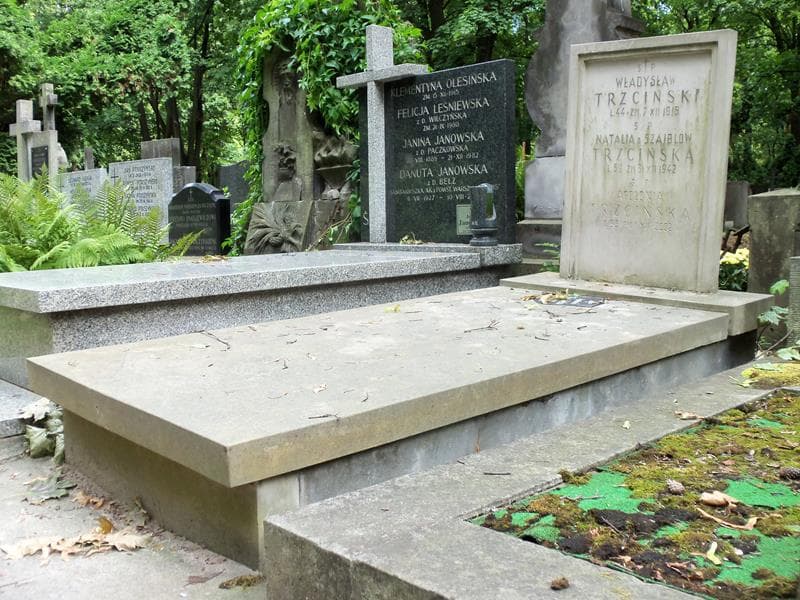 Zdjęcie grobu Władysław Trzciński (1)