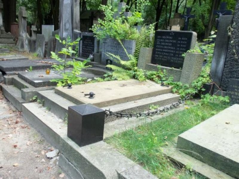 Zdjęcie grobu Janina Wardyńska (1)