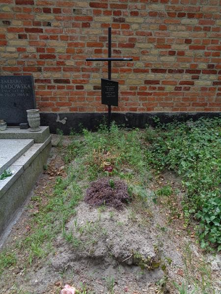 Zdjęcie grobu Edward Kulesza (1)
