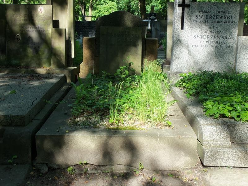 Zdjęcie grobu: Antoni Dankowski