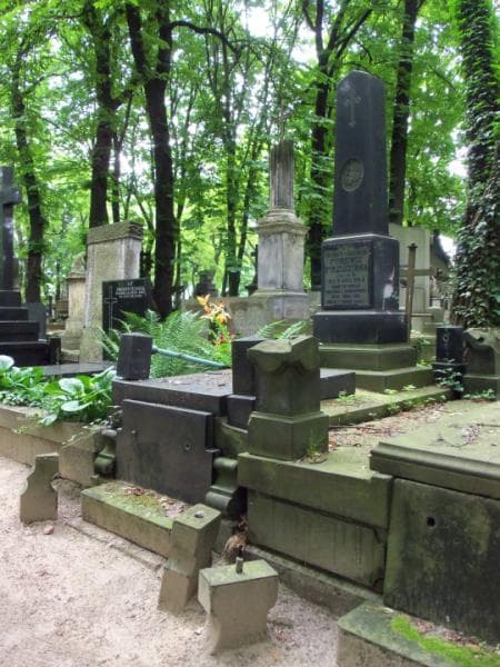 Zdjęcie grobu Fortunata Pleszczyńska (1)