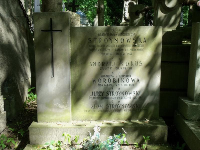 Zdjęcie grobu Jerzy Stroynowski (2)