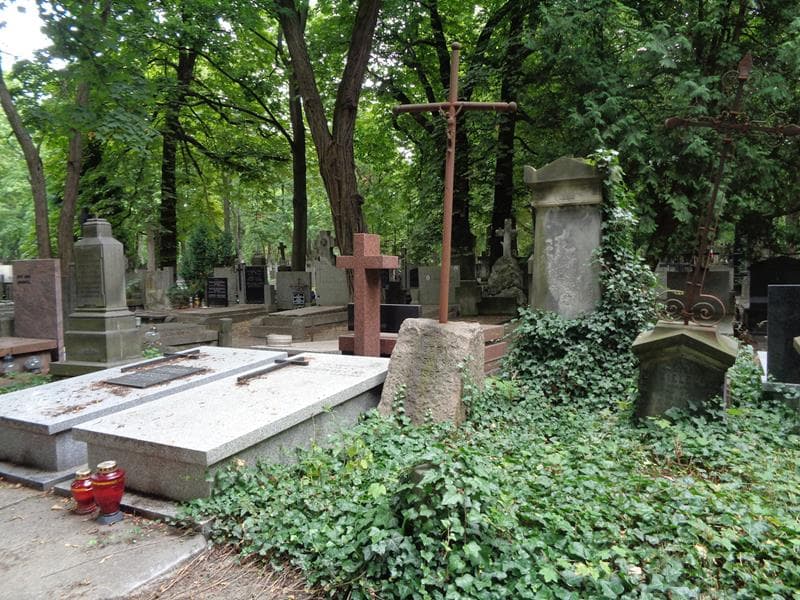 Zdjęcie grobu: Józefa Założyńska