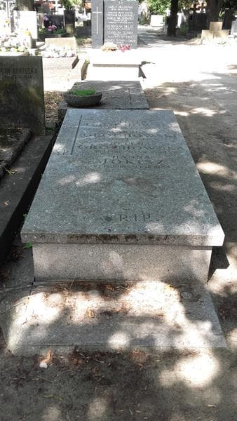 Zdjęcie grobu Hanna Jokisz (1)