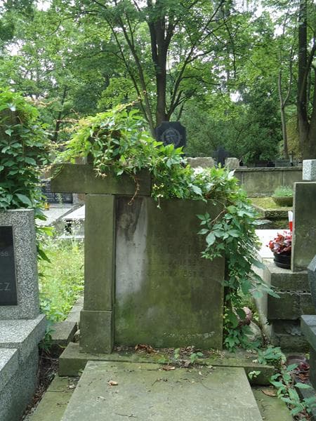 Zdjęcie grobu Julian Hawełka (2)