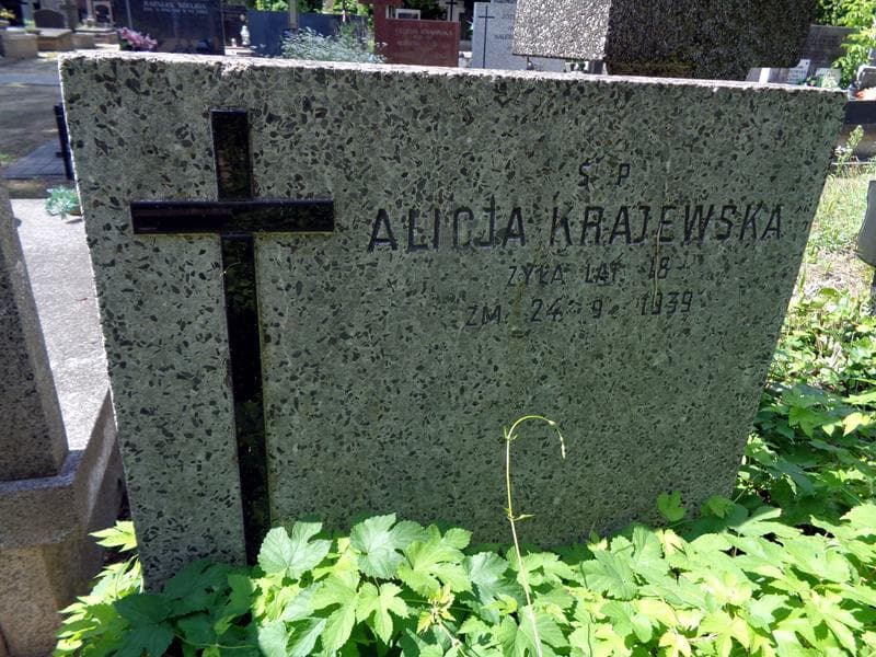 Zdjęcie grobu Alicja Krajewska (2)