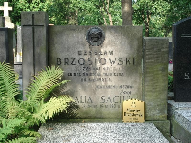 Zdjęcie grobu Czesław Brzostowski (2)