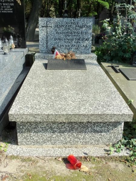 Zdjęcie grobu: Henryk Leszczyc Falęcki