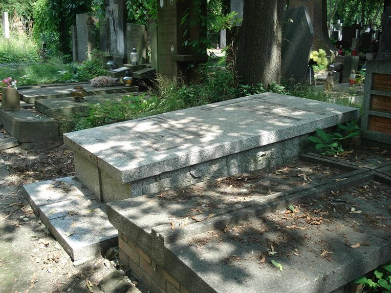 Zdjęcie grobu Kazimiera Ilcewicz (2)
