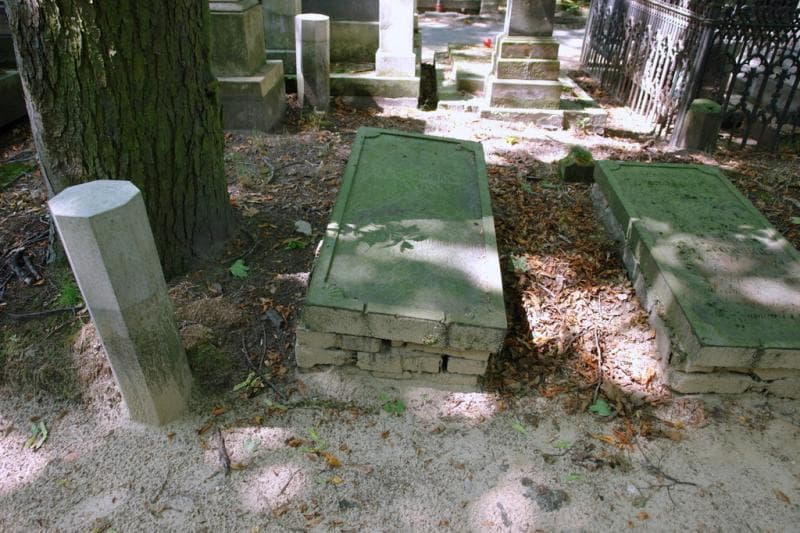 Zdjęcie grobu Roman Czarnowski (1)