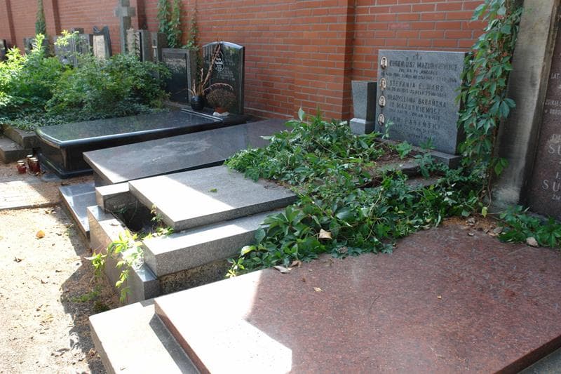 Zdjęcie grobu: Jan Barański