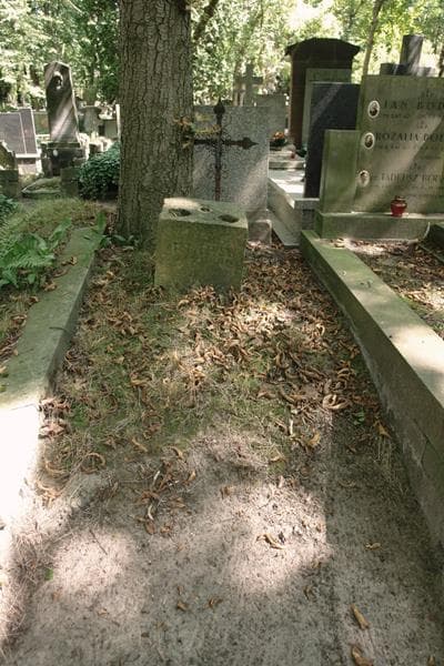 Zdjęcie grobu Feliks Strzyżewski (1)