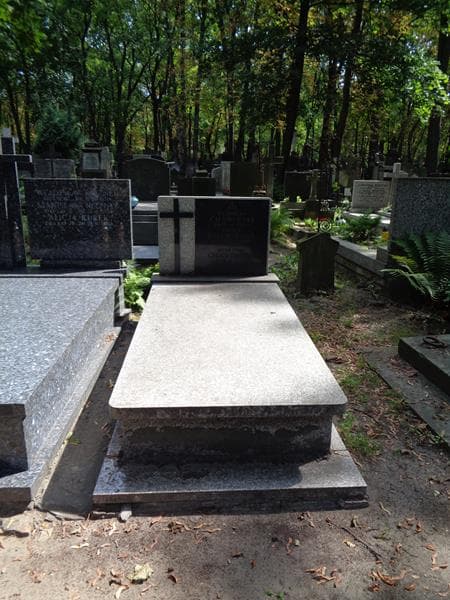 Zdjęcie grobu Władysław Chawiński (1)