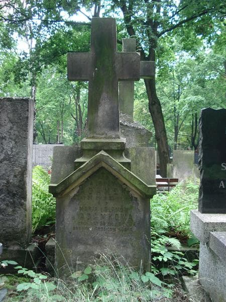 Zdjęcie grobu Alojzy Adamek (1)