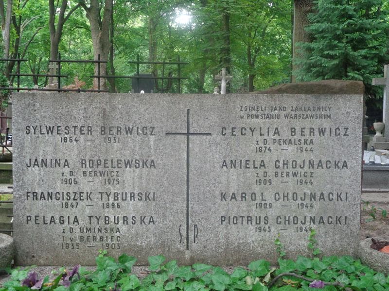 Zdjęcie grobu Sylwester Berwicz (2)
