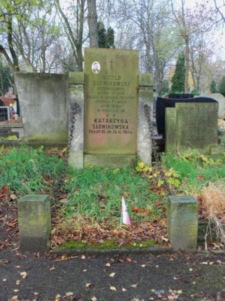 Zdjęcie grobu: Witold Słowikowski