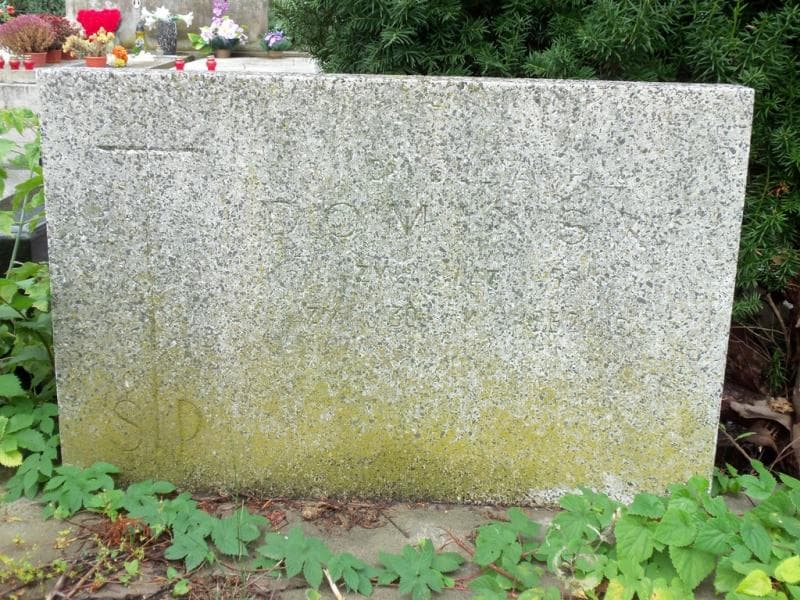 Zdjęcie grobu Julian Domiński (2)